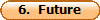 6.  Future
